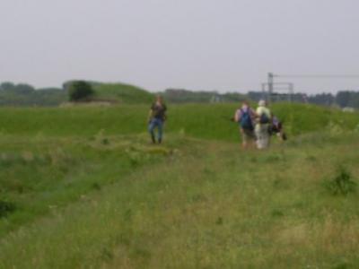 IMG_0019.jpg