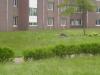Click to view IMG_0044_t1.jpg