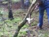 Click to view img_0068_t1.jpg