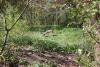 image038_t1.jpg