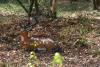 image064_t1.jpg