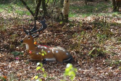 image064.jpg