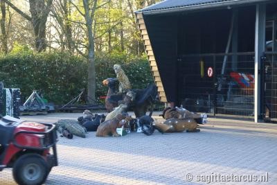 2017wedstrijdsea-0017.jpg
