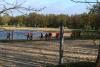 Click to view 2017wedstrijdsea-0044_t1.jpg