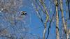 Click to view 20260425-seta3d-05140_t1.jpg