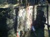 image023_t1.jpg