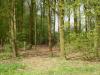 image038_t1.jpg